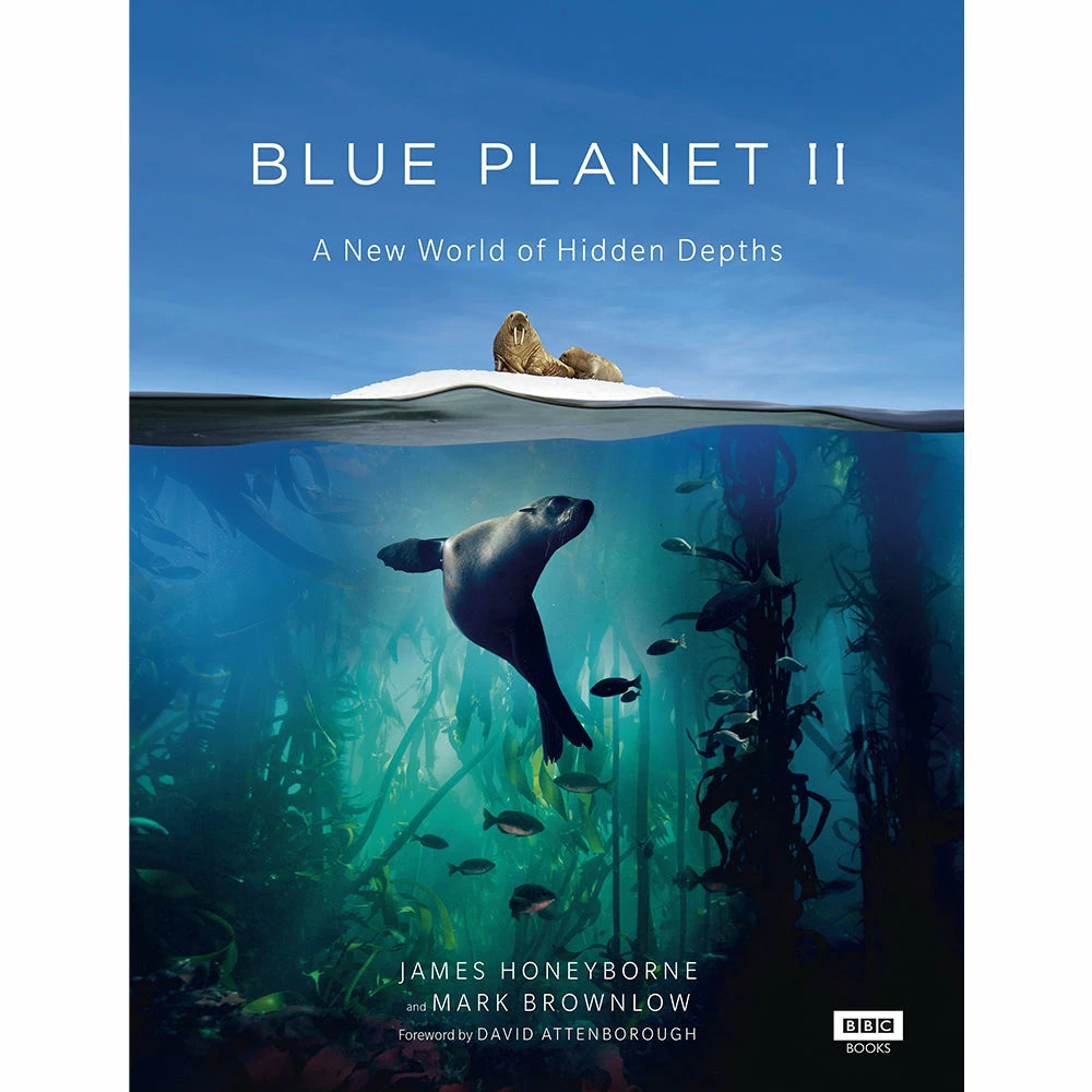 Top 10 π BBC Earth Blue Planet II: A New World of Hidden Depths π 1 Top 10 π BBC Earth Blue Planet II: A New World of Hidden Depths π
