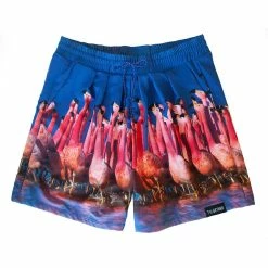 Coupon 😉 BBC Earth: "Flamingo" Shorts ⌛ -bbc Elegant shop 22728a