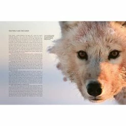 Cheap 🎉 BBC Earth A Perfect Planet Book 💯 -bbc Elegant shop 23007B