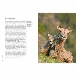 Cheap 🎉 BBC Earth A Perfect Planet Book 💯 -bbc Elegant shop 23007C