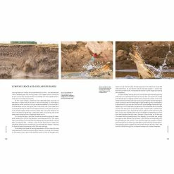 Cheap 🎉 BBC Earth A Perfect Planet Book 💯 -bbc Elegant shop 23007D