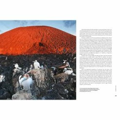 Cheap 🎉 BBC Earth A Perfect Planet Book 💯 -bbc Elegant shop 23007F